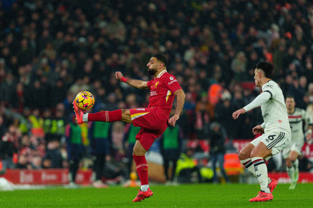 证明了他作 证明了他作